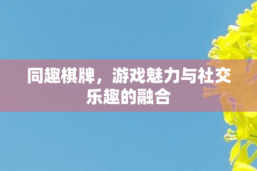 游戏魅力与社交乐趣的融合图片