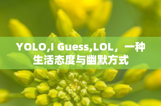 一种生活态度与幽默方式图片