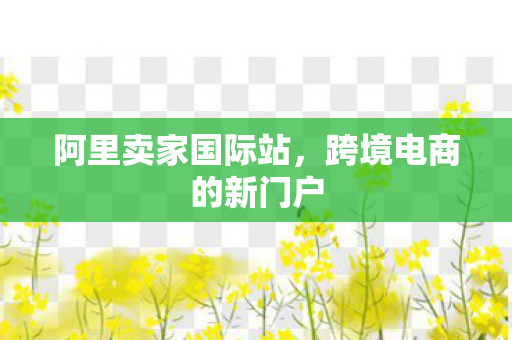 跨境电商的新门户图片