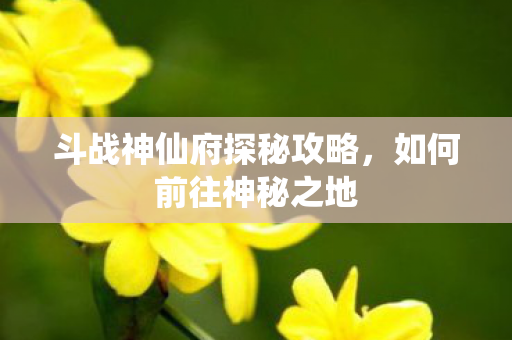 斗战神仙府探秘攻略图片
