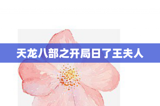 天龙八部之开局日了王夫人图片