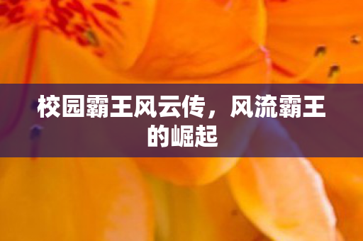 校园霸王风云传图片