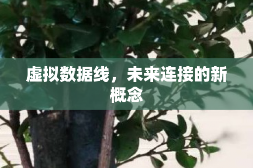 未来连接的新概念图片