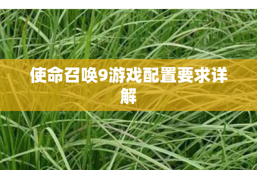 使命召唤9游戏配置要求详解图片