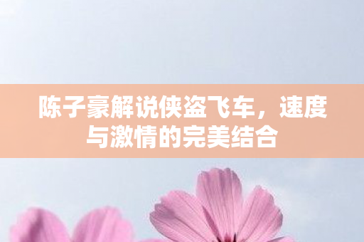 速度与激情的完美结合图片