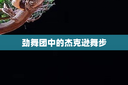 劲舞团中的杰克逊舞步图片