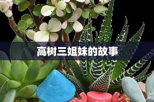 高树三姐妹的故事图片