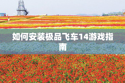 如何安装极品飞车14游戏指南图片