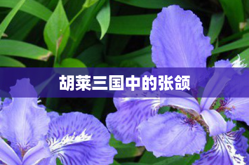 胡莱三国中的张颌图片