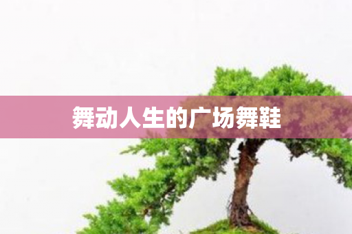舞动人生的广场舞鞋图片