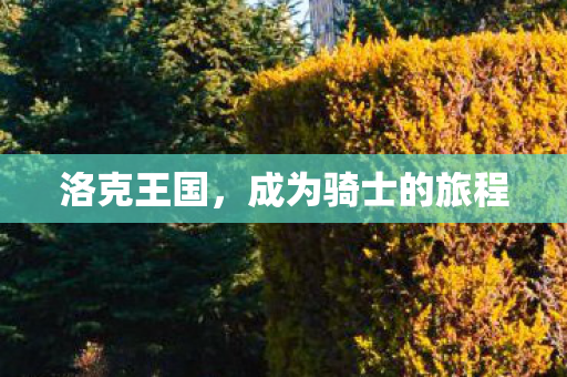 成为骑士的旅程图片