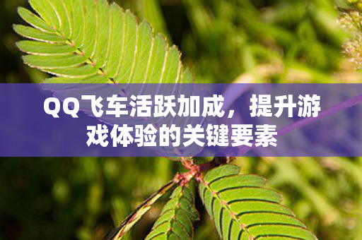 提升游戏体验的关键要素图片