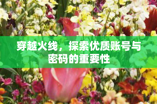 探索优质账号与密码的重要性图片