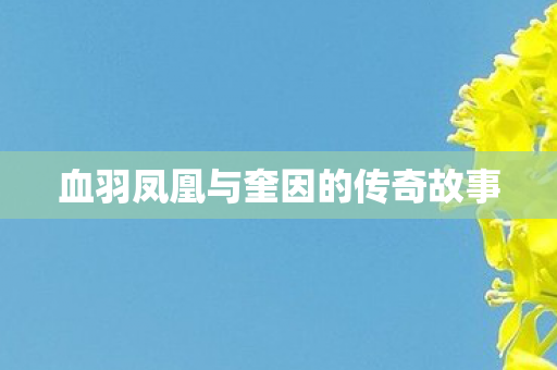 血羽凤凰与奎因的传奇故事图片
