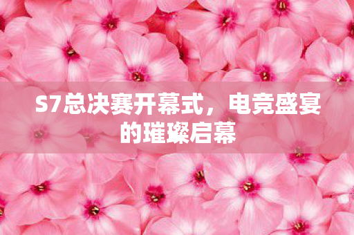 电竞盛宴的璀璨启幕图片