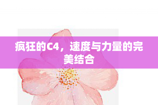 速度与力量的完美结合图片
