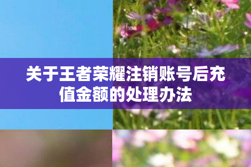关于王者荣耀注销账号后充值金额的处理办法图片