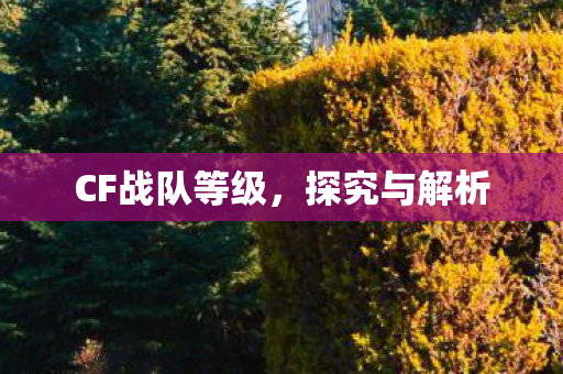 CF战队等级图片