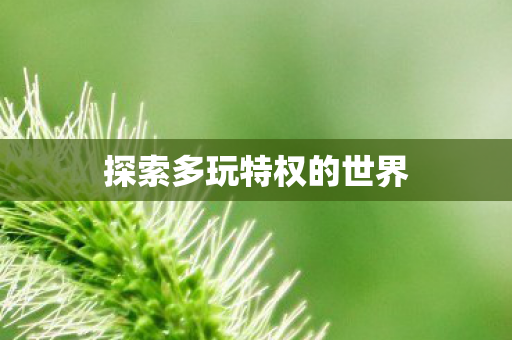 探索多玩特权的世界图片