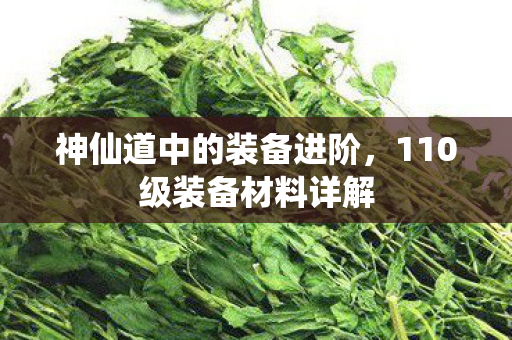 110级装备材料详解图片