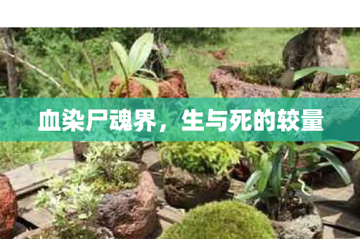 生与死的较量图片