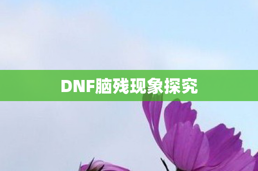 DNF脑残现象探究图片