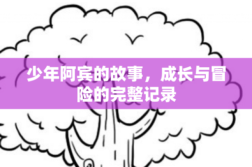 成长与冒险的完整记录图片
