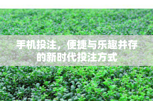 便捷与乐趣并存的新时代投注方式图片
