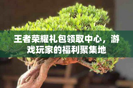 王者荣耀礼包领取中心图片