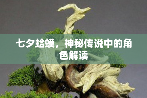 神秘传说中的角色解读图片