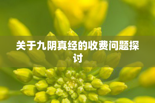 关于九阴真经的收费问题探讨图片