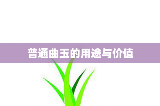 普通曲玉的用途与价值图片