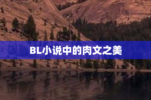 BL小说中的肉文之美图片