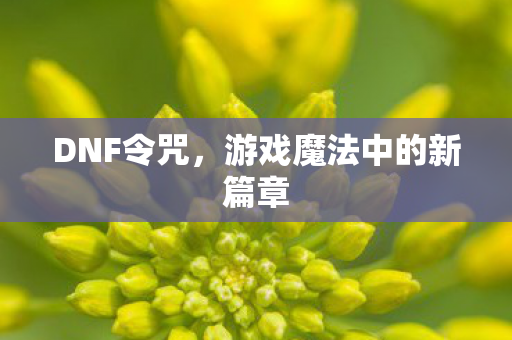 游戏魔法中的新篇章图片