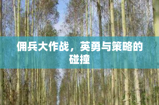 英勇与策略的碰撞图片