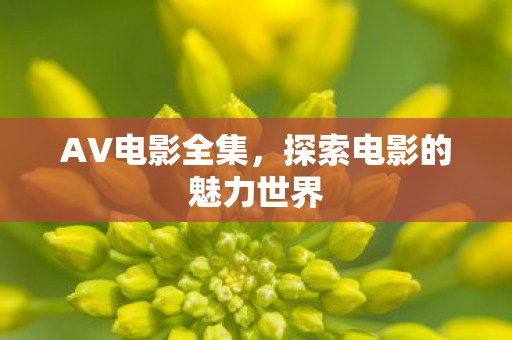 探索电影的魅力世界图片