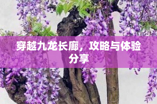 攻略与体验分享图片