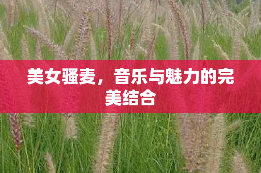 音乐与魅力的完美结合图片