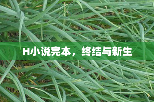 H小说完本图片