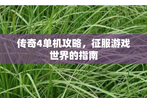 征服游戏世界的指南图片
