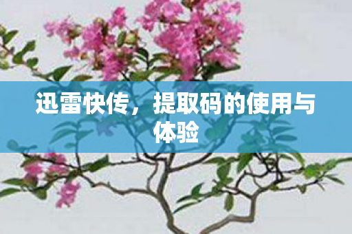 提取码的使用与体验图片