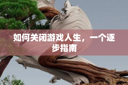 如何关闭游戏人生图片
