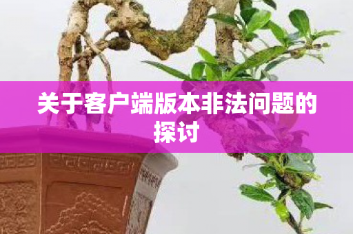 关于客户端版本非法问题的探讨图片