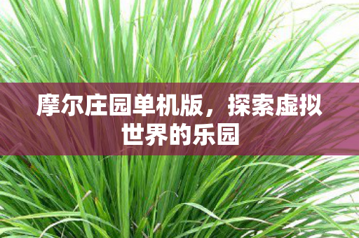 探索虚拟世界的乐园图片