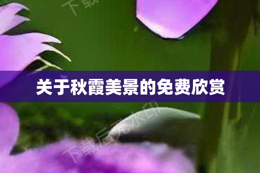 关于秋霞美景的免费欣赏图片