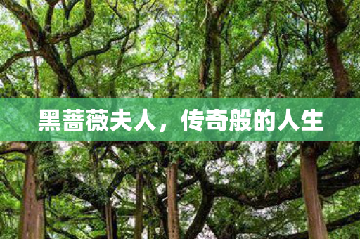 传奇般的人生图片