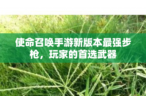 使命召唤手游新版本最强步枪图片