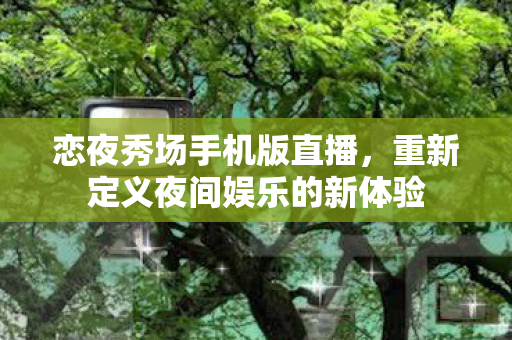 重新定义夜间娱乐的新体验图片