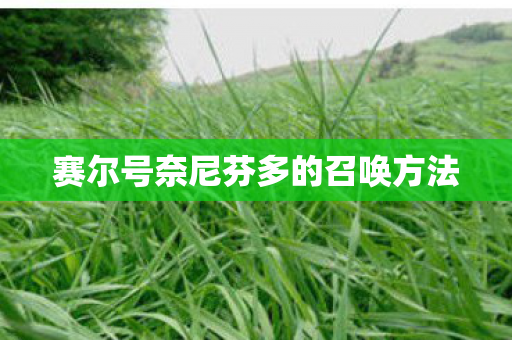 赛尔号奈尼芬多的召唤方法图片