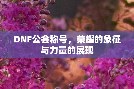 荣耀的象征与力量的展现图片